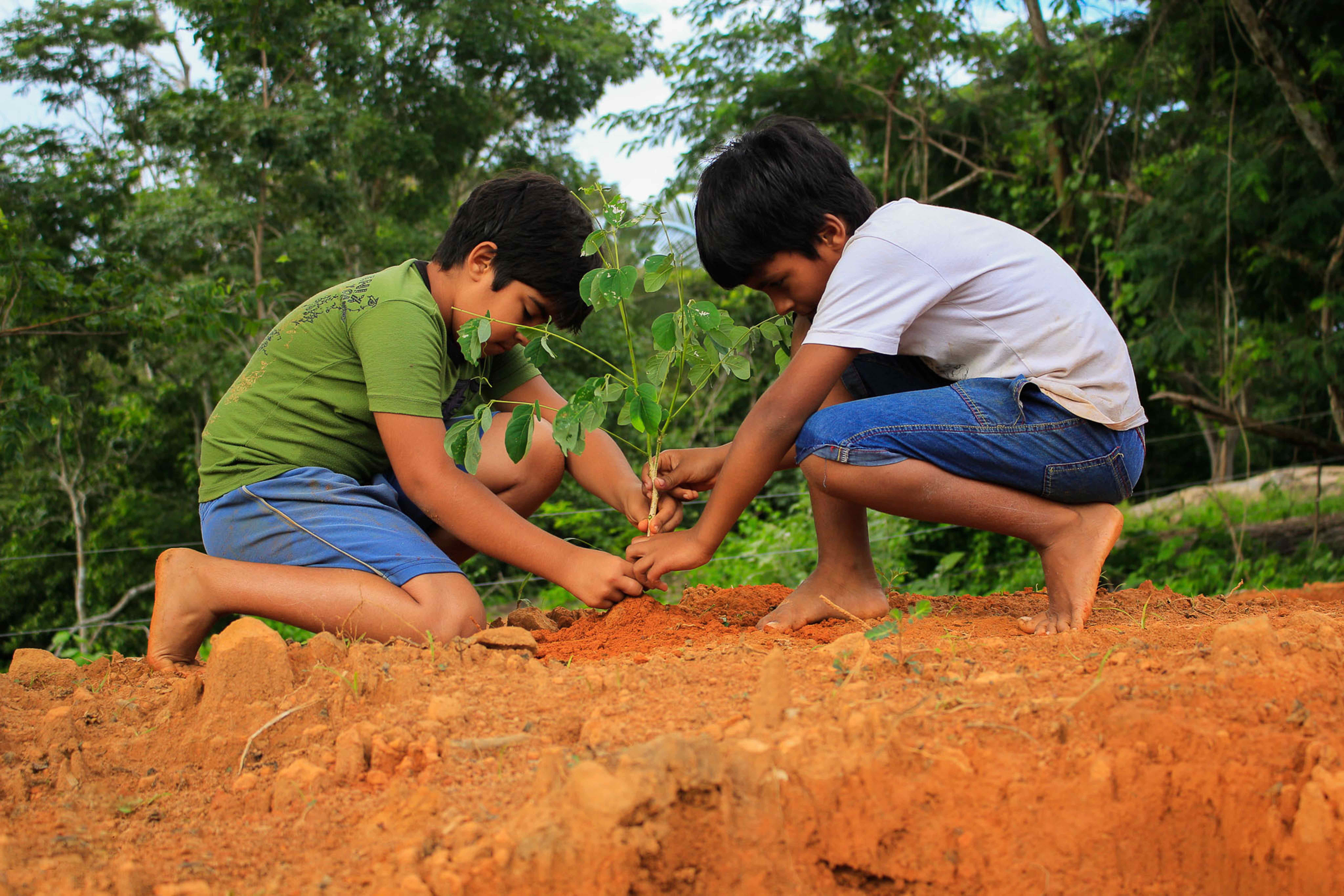 Proyecto BioResiliencia de Bionomía. Transformando la ecoansiedad en acciones regenerativas.