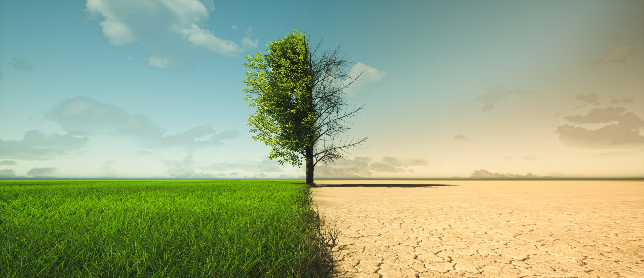 BioResiliencia-Bionomia. Transformando la ecoansiedad en acciones regenerativas