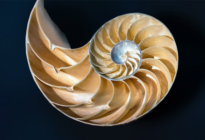 Alchemy Spinning