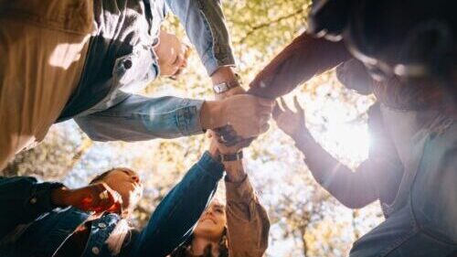 Proyecto BioResiliencia de Bionomía. Transformando la ecoansiedad en acciones regenerativas.
