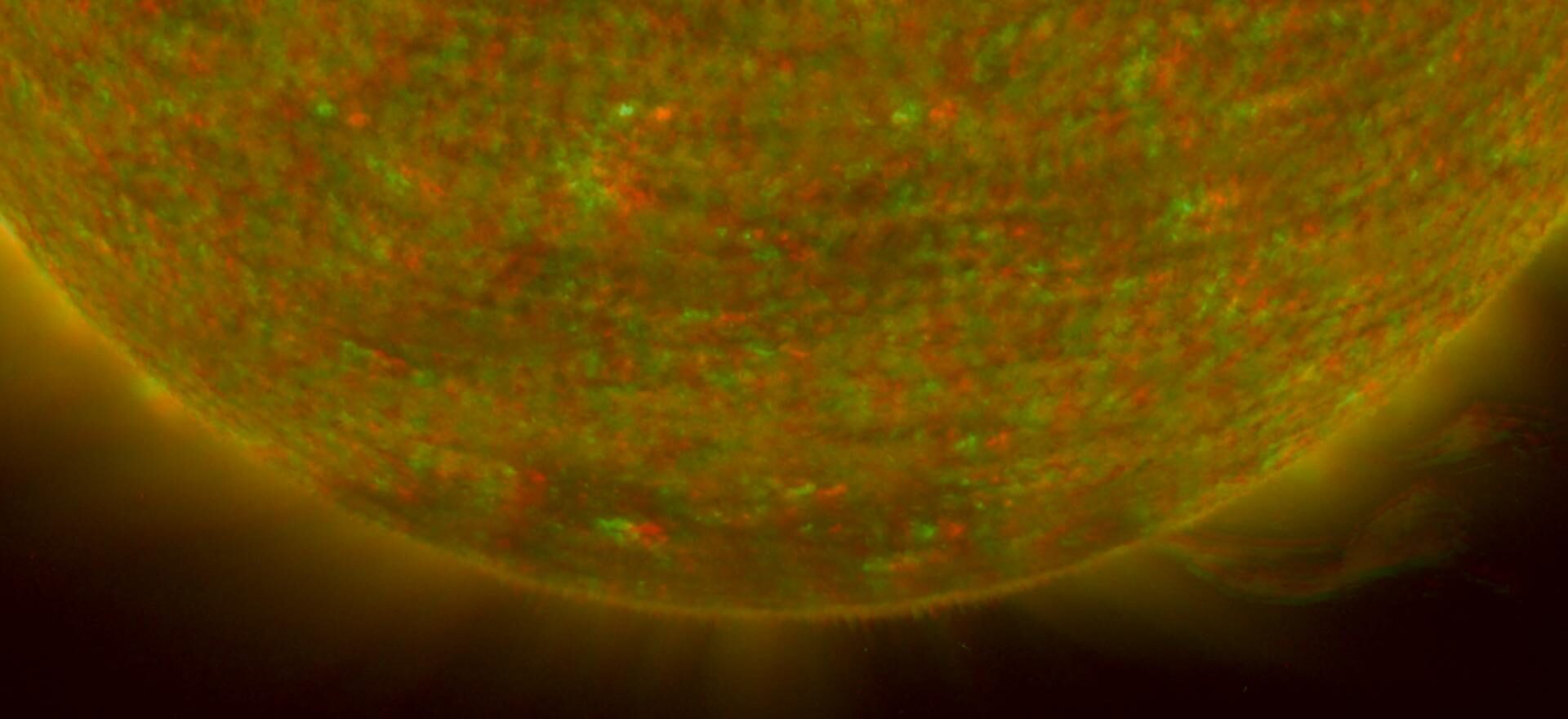 Sol Nasa (astrología psicológica)